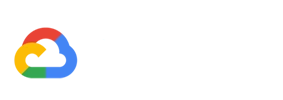 654bda7f55747d2628e81451_[NOV-2023]-Google-Cloud-Partner_website_badge